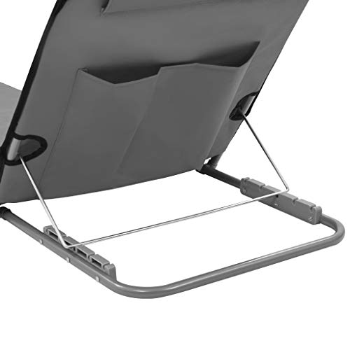 vidaXL 2X Strandmatte Klappbar Grau Sonnenliege Strandliege Gartenliege Liege – Bild 6