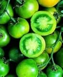 Green Grape Tomato - 4 Plants - Great for Salads