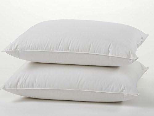 Amazon Com East Coast Bedding Premium Quality European 800 Fill