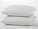 East Coast Bedding European 800FP Goose Down Sleeping Bed Pillow, King (Pack of 2), White