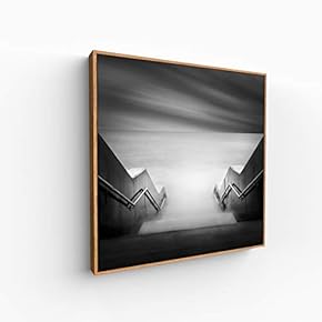 Canvas Wall Art for Living Room, Bedroom Silence Framed Canvas Prints for Home Decoration Ready to Hang - 16x16 inches