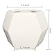 Ceramic Small Collection Geometric Planter ( 3 Pack-White) Hexagon Succulent Plant Pot/Planter/Container
