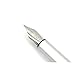 Ohto Poche Silver Zebra Fine Point Fountain Pen - FF-15T-Z