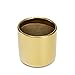 Metallic Gold, Succulent Plant Pot - 4 inch Pot Can Hold Large & Small Succulents, Cactus and Flowers - Cylindrical Modern Design - Gold for in-Style Look