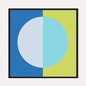 Framed for Living Room Bedroom Beautiful Watercolor Birds for