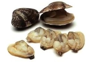 Pana Pesca Baby Clam Meat in Natural Juice, 1 Pound -- 10 per case.