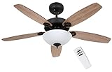 SOLTRONICS Ceiling Fan 52 inch with Light and