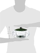 Peckish Bird Seed Feeder Small Birds Green 24.8x14.8x5.4 cm view 4