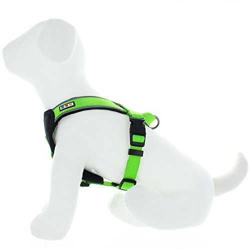 Pawtitas Pet Training Soft Adjustable Reflective Padded Puppy / Dog Harness Extra Small Green