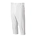 Mizuno Adult Men's Premier Piped Short Baseball Pant