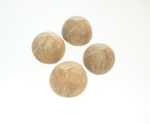 4 Round All Natural 1/2 Shell Coconuts Bird Parrot Toy Uncolored