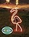 Northlight Tropical Lighted Pink Flamingo Rope Light Outdoor Yard Art Decoration, 24