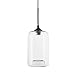 Brooklyn Bulb Co. Clear Glass 1-Light Pendant Lamp, Windsor Heights Collection, Cylinder Shape Ceiling Fixture