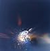 Rinko Kawauchi: Illuminance