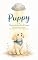 Livro Puppy e a Nuvenzinha Cinza (livro infantil)