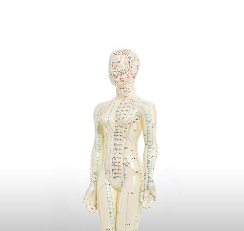 Doc.Royal Human Model Acupuncture and Moxibustion Female Model 48cm (18.8 in)