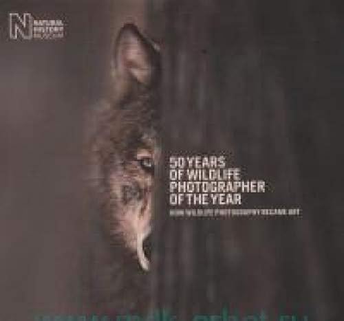 Download 50 Years of Wildlife Photographer of the Year: How Wildlife Photography Became Art PDF