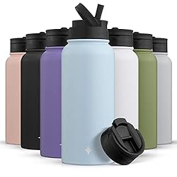 JoyJolt Triple Insulated Water Bottle with Straw