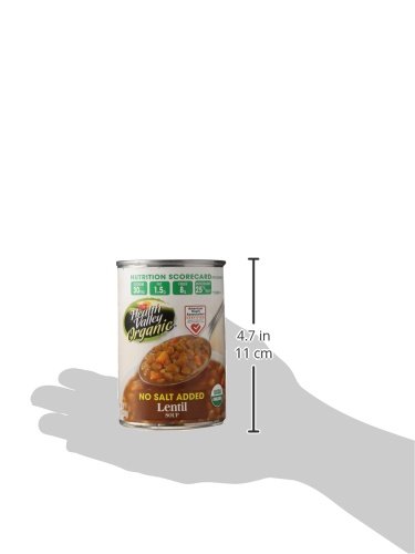 Health Valley Organic No Salt Added Soup, Lentil, 15 Ounce