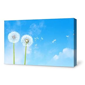 for Living Room Bedroom Home Artwork Paintings Dandelion