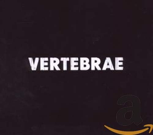 Vertebrae