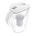 Invigorated Water FBA_COMINHKG056108 Deepa Restore Alkaline Pitcher Ionizer with 2 Long-Life Filter Purifier-Water Filtration System-High pH Alkalizer Machine, 1, White
