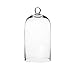Whole Housewares Clear Glass Cloche Bell Jar - Glass Display Dome