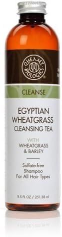 Qhemet Biologics Egyptian Wheatgrass Cleansing Tea by Qhetmet Biologics