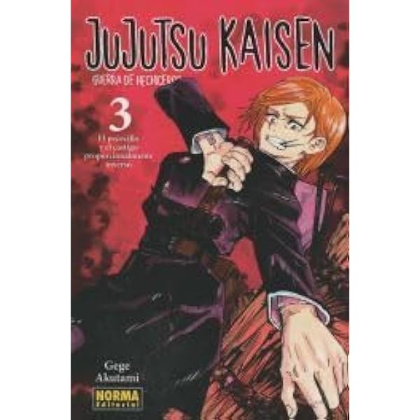 Jujutsu Kaisen 4: Akutami, Gege: 9788467942699: Amazon.com: Books