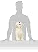 Melissa & Doug Bichon Frise - Plush