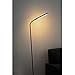 YLISAE NRAE 6 Feet 12 Level LED Remote and touch control Adjustable Floor lamp