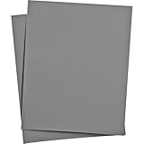 Delta 1 18% Gray Card