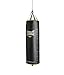 Everlast 100lb PowerCore Heavy Bag