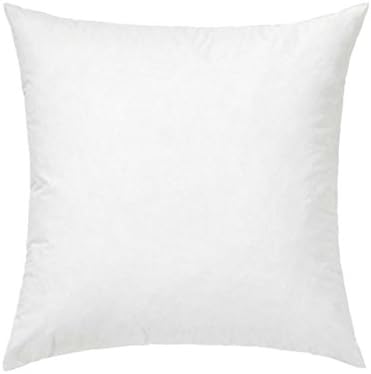 RoyalPie Pillow Insert, Premium Hypoallergenic Stuffer, Square Form Polyester 20 inch L X 20 inch W, White