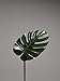 Loose Leaf: Plants - Flowers - Projects - Inspiration