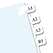 RTG39000 - Redi-tag Laser Printable Index Tabs