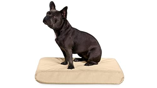 K9 Ballistics Tough Orthopedic Dog Bed Small Nearly Indestructible