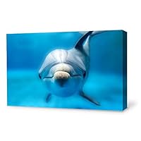 Canvas Wall Art Lovely Dolphin Canvas Prints Home Artwork Decoration for Living Room,Bedroom - 12x18 inches