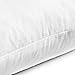 YesterdayHome Set of 2-26x26 Euro Pillow Inserts-Down Feather Pillow Inserts-White