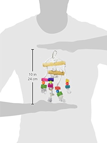 Prevue Pet Products BPV60935 Bodacious Bites Bird Toy, Small/Medium, Buffet