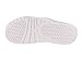 Nike Men's Jordan Hydro IV Retro Off White/Metallic Silver Sandal 10 Men US