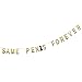 JennyGems Glitter Party Banner - Bachelorette Bride Party Decorations Funny Banner - Bridal Showers - Same Penis Forever