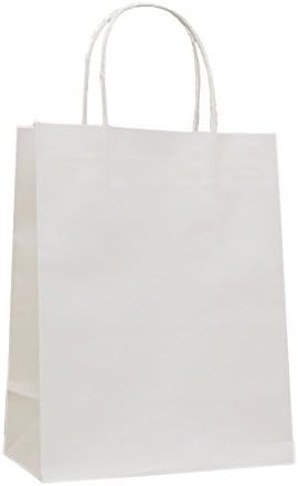 Halulu 25 Pcs Kraft Paper Handle Shopping Reusable Gift Merchandise Carry Retail Bags (5.25" x 3.75" x 8", White)