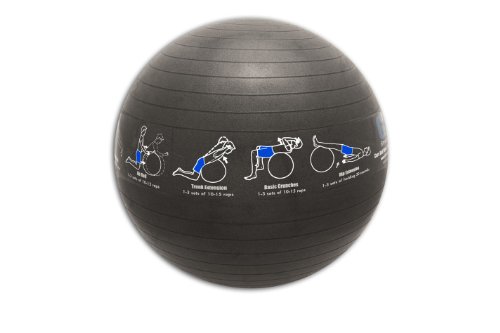 TRAINERball for Core Strength, Grey, 65cm - Illustrated Stability Ball (w/ Perfect-Form DVD)