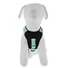 Pawtitas Reflective Dog Harness Padded Dog Harness Provides Comfort Control for a Walk or Running Great Pet Accessories Dog Vest M Medium Teal Dog Harness