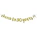 GOER cheers to 30 years and Champagne Glasses Gold Glitter Banner for 30th Birthday Party Decorations
