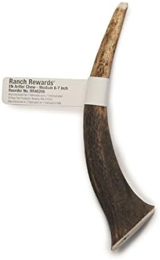 Ranch Rewards Elk Antler Chews — Long-Lasting Chews for Dogs, Medium, 6–7"