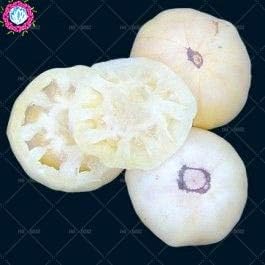 Amazon Co Jp 種子パッケージ 0pcsのrレインボートマトミックス色リコペルシコンescultumシーズドfrutas Vegetes野菜や果物 4 ホーム キッチン