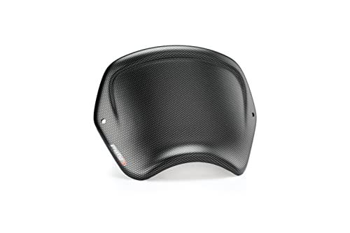 Puig 22223C Piastra Frontale ABS protezione aggiuntiva, Carbonio
