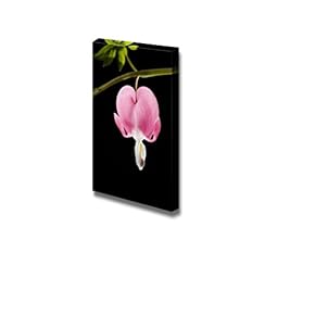 Canvas Prints Wall Art - Purple Orchid Bloom on a Stem Before a Black Background | Modern Wall Decor/Home Decoration Stretched Gallery Canvas Wrap Giclee Print. Ready to Hang - 12" x 18"